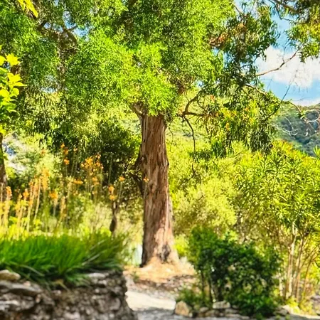 Lägenhet Amazing Views Patrimonio