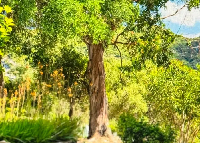 公寓 Amazing Views 帕特里莫尼奥